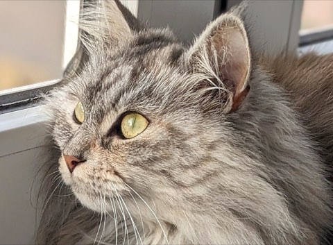 Micka